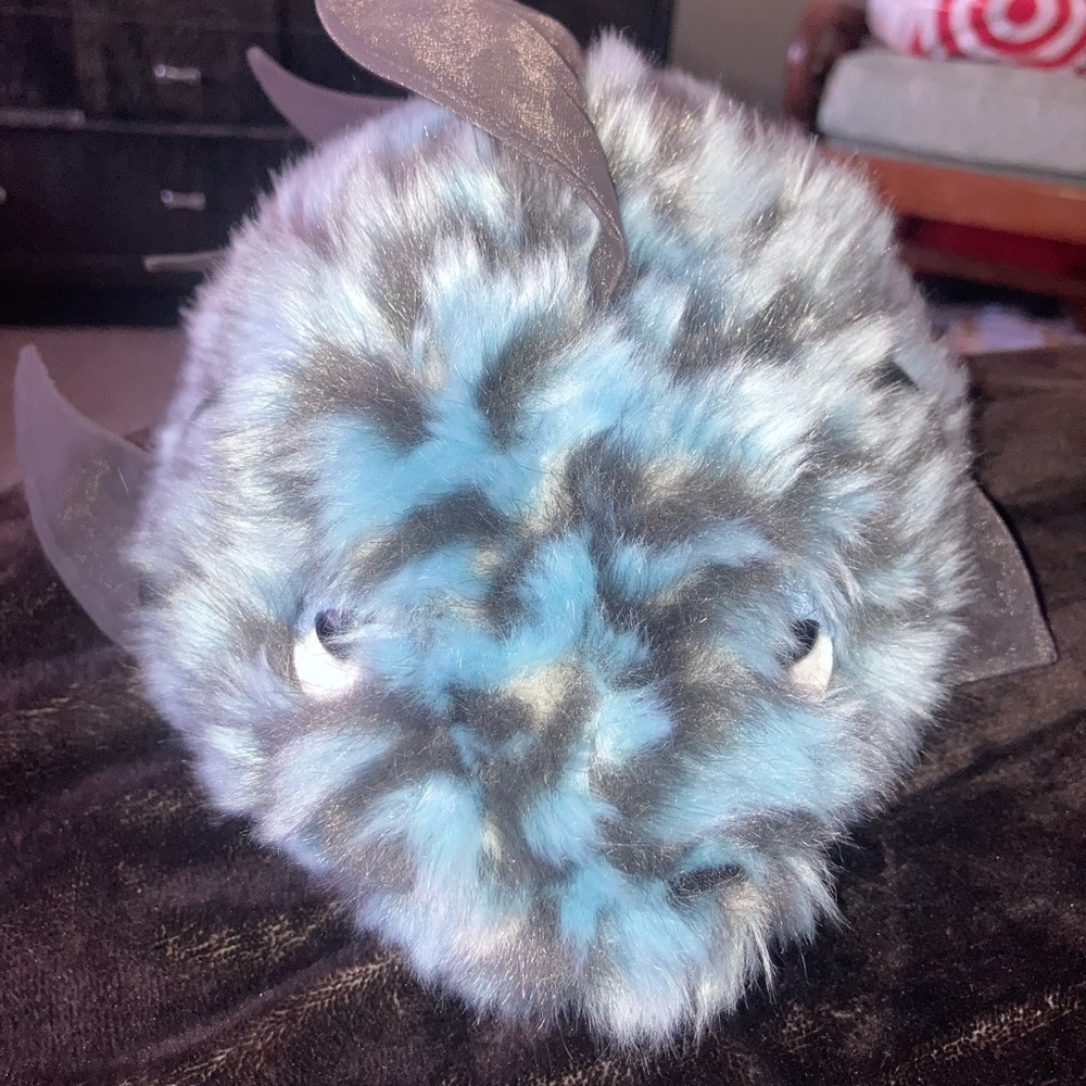 Angry fish jelly cat